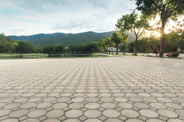 Best Decorative Driveway Pavers  in Flat Rock, NC